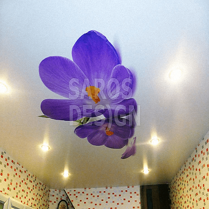 Купить натяжные арт потолки с фотопечатью Saros Design в Кингисеппе.