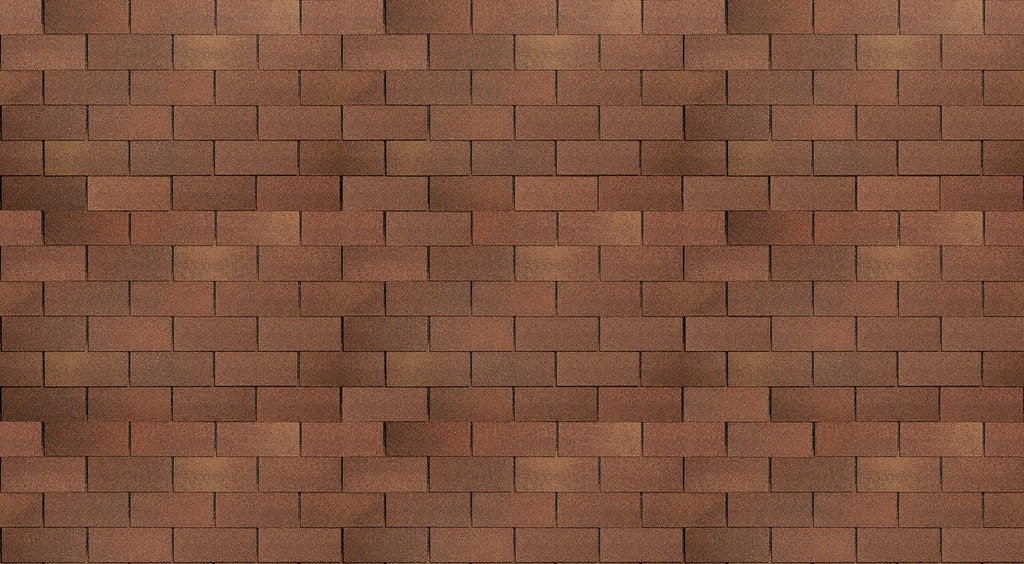 Цвет Ирландская ель